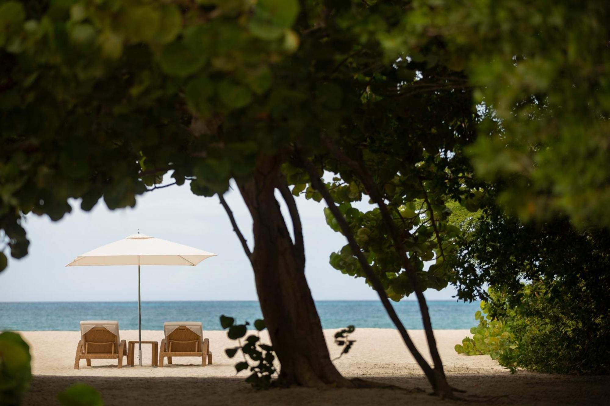 Joia Aruba By Iberostar Otel Palm Beach Dış mekan fotoğraf
